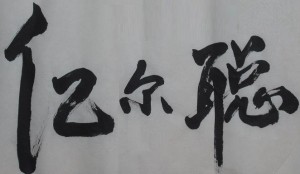 1-13011P133263G